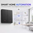 Qoltec Smart 2-Gang Light Switch | Wi‑Fi | Időzítő | Tuya | Smart life | Fekete
